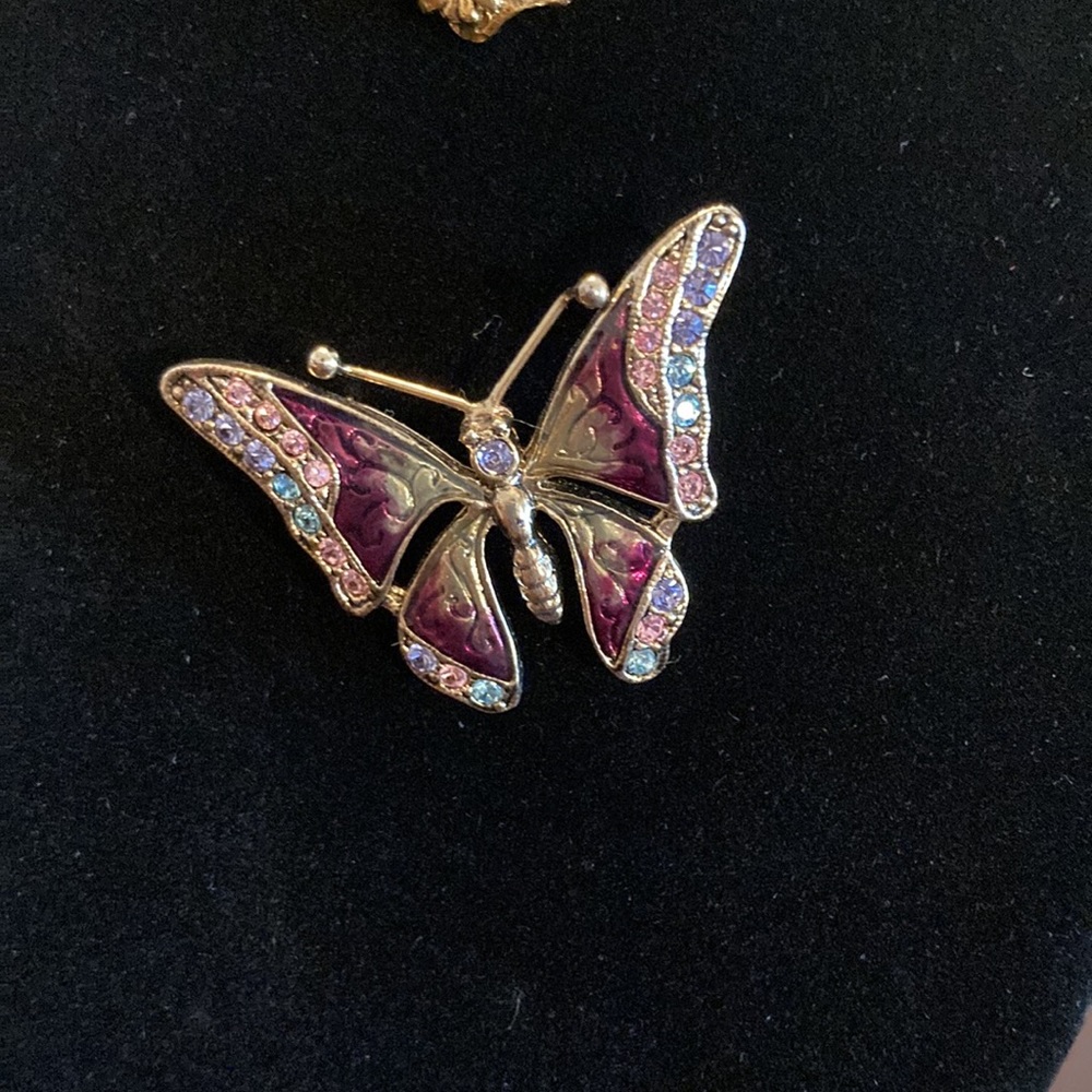 Butterfly brooch collection - Picture 5 of 5